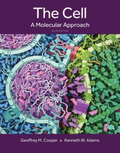 Front cover of The Cell: A Molecular Approach 9th Edition Test Bank PDF by Geoffrey M. Cooper and Kenneth W. Adams