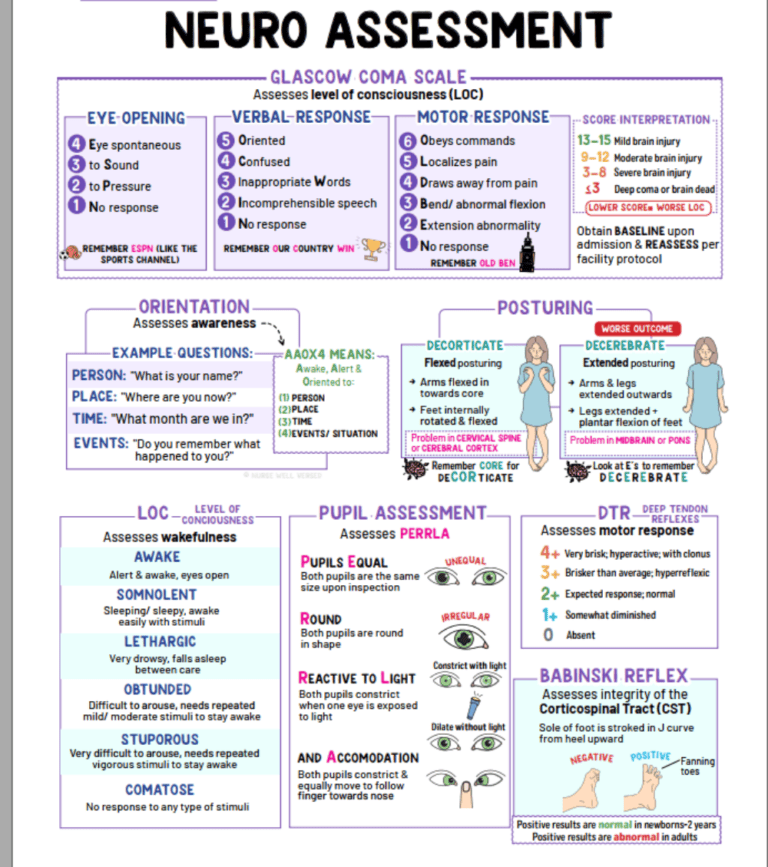 Complete NCLEX neuro assessment study guide showing GCS, orientation, posturing, PERRLA, and Babinski reflex.